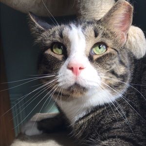 Meet your Posher, Alexa